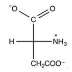 The Fischer projection below represents a naturally occurring amino acid.  