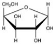 Which Haworth projection represents the α anomer of the monosaccharide shown below?   A)    B)    C)    D)   