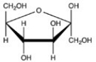 Which Haworth projection represents the α anomer of the monosaccharide shown below?   A)    B)    C)    D)   