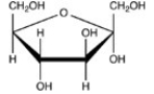 Which Haworth projection represents the α anomer of the monosaccharide shown below?   A)    B)    C)    D)   