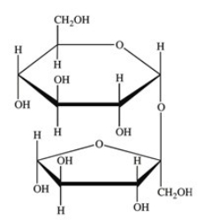 How many acetals are present in the disaccharide shown below?   A) 1 B) 2 C) 3 D) 4