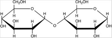 How many acetals and hemiacetals are present in the disaccharide below?   A) Two acetals are present. B) Two hemiacetals are present. C) One hemiacetal and one acetal is present D) No hemiacetals or acetals are present.