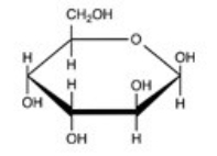Which naturally-occurring monosaccharide forms the Haworth structure shown?   A)    B)    C)    D)   