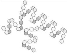 What type of polysaccharide is depicted in the  cartoon  shown below?   A) Cellulose B) Amylose C) Amylopectin D) Chitin