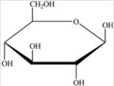 Gentobiose,a rare disaccharide found in saffron,produces two identical monosaccharides when it undergoes hydrolysis. What is the identity of the hydrolysis product? A) B) C) D)