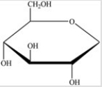 Gentobiose,a rare disaccharide found in saffron,produces two identical monosaccharides when it undergoes hydrolysis. What is the identity of the hydrolysis product? A) B) C) D)
