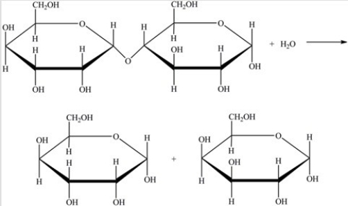 Hydrolysis of the disaccharide below yields the indicated products.  