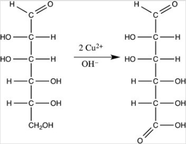When the monosaccharide below is oxidized by Benedict's reagent,the indicated product results.  