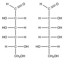The two monosaccharides shown below are related as enantiomers.  