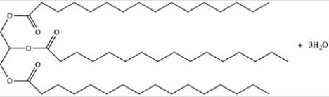 Hydrolysis of the triacylglycerol below provides the indicated products.    