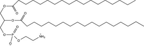 The compound below is a phospholipid classified as a lecithin.  
