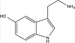 Serotonin is drawn below. Which of the following correctly describes the types of functional groups present in serotonin?   A) Amide,ether,alkene B) Alcohol,amine,aromatic C) Alkene,ketone,amide D) Amine,alkene,ester