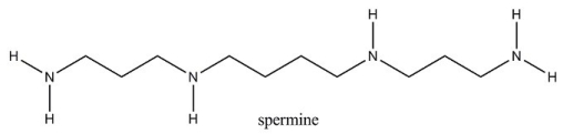 Spermine is a compound isolated from sperm. Which of the following statements correctly describes an aqueous solution of spermine?   A) The pH of the solution would be equal to that of pure water. B) The hydronium ion concentration in the solution would be greater than that in pure water. C) The hydroxide ion concentration in the solution would be greater than that in pure water. D) The solution would be acidic.
