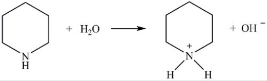 The following acid-base reaction occurs when piperidine is dissolved in water.  