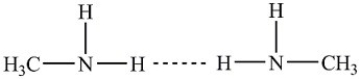 Hydrogen bonding between two methylamine molecules is indicated by the dotted line.  