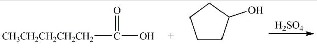What are the products of the reaction shown?   A) Hexyl cyclopentanoate + water B) Cyclopentyl hexanoate + water C) Pentyl cyclopentanoate + water D) Cyclopentyl pentanoate + water