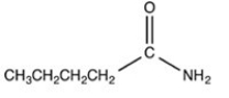 What is the major organic product of the reaction shown below? A) B) C) D)