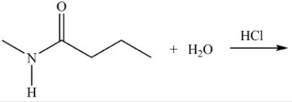 Hydrolysis of amides is an important reaction because it represents the first step in the digestion of dietary protein. Which of the following compounds is formed as a result of the hydrolysis of N-methylbutanamide as shown below?   A)    B)    C)    D) NH<sub>3</sub>