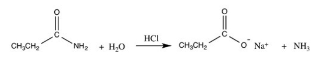 The following reaction correctly shows the acidic hydrolysis of an amide.  