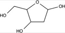 Deoxyribose is a building block of DNA. Which statement concerning the functional groups present in deoxyribose,shown below,is incorrect?   A) It contains an acetal. B) It contains an alcohol. C) It contains a hemiacetal. D) None of these choices are incorrect.