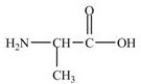 Alanine,shown below,is a naturally occurring chiral amino acid. Which pair represents the two enantiomers of alanine?   A)    B)    C)   