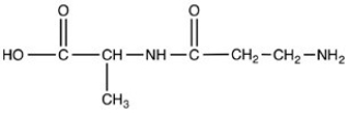 The dipeptide molecule shown below contains two chirality centers.  