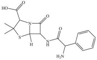 Ampicillin (structure shown)is an antibiotic that has been used extensively to treat bacterial infections since 1961. There are ________ chirality centers in ampicillin.  
