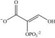 <strong>Alcohol dehydration reactions are important biological reactions. For example,2-phosphogylcerate undergoes dehydration in the glycolysis pathway to produce phosphoenolpyruvate. Which structure represents the product that results when 2-phosphoglycerate is dehydrated?  </strong> A)   B)   C)   D)   <div style=padding-top: 35px> 