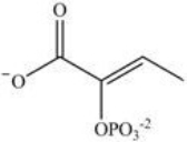 <strong>Alcohol dehydration reactions are important biological reactions. For example,2-phosphogylcerate undergoes dehydration in the glycolysis pathway to produce phosphoenolpyruvate. Which structure represents the product that results when 2-phosphoglycerate is dehydrated?  </strong> A)   B)   C)   D)   <div style=padding-top: 35px> 