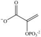 <strong>Alcohol dehydration reactions are important biological reactions. For example,2-phosphogylcerate undergoes dehydration in the glycolysis pathway to produce phosphoenolpyruvate. Which structure represents the product that results when 2-phosphoglycerate is dehydrated?  </strong> A)   B)   C)   D)   <div style=padding-top: 35px> 