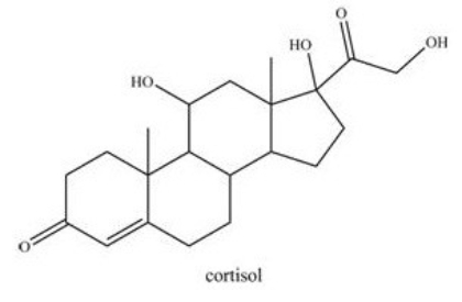 Cortisol,an anti-inflammatory agent,contains a primary alcohol,a secondary alcohol,and a tertiary alcohol.  