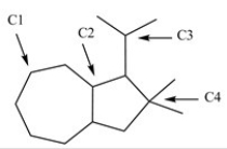 What is the classification of each labeled carbon atom in this structure?   A) C1 is a 1°,C2 is 2°,C3 is a 3°,and C4 is 4°. B) C1 is a 2°,C2 is 3°,C3 is a 3°,and C4 is 4°. C) C1 is a 1°,C2 is 2°,C3 is a 3°,and C4 is 1°. D) C1 is a 2°,C2 is 3°,C3 is a 2°,and C4 is 3°.