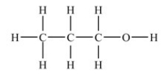 The molecule below is an example of a/an ________.  