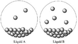 Consider the two liquids A and B shown in closed containers. Which liquid has the higher vapor pressure?   A) Liquid A B) Liquid B C) Both Liquids A and B have equal vapor pressures. D) Not enough information is given.
