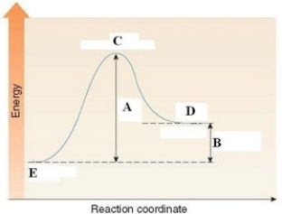 In the energy diagram shown below,the ΔH of the reaction is labeled by D.  