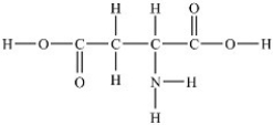 Aspartic acid is an amino acid used to synthesize proteins. What is the molar mass of aspartic acid shown below?   A) 121.09 g/mol B) 133.11 g/mol C) 117.0 g/mol D) 126.04 g/mol E) 132.09 g/mol