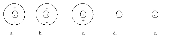 Which of the following atomic diagrams best represents H<sup>+</sup>?   A) a B) b C) c D) d E) e