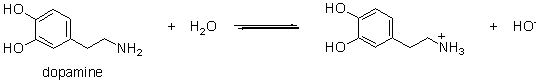 Which of the following are conjugate acid-base pairs in the acid-base reaction between dopamine and water?   I. H<sub>2</sub>O and   II. H<sub>2</sub>O and <sup>-</sup>OH III.   and   IV.   and <sup>-</sup>OH A)  I only B)  I and IV C)  II only D)  II and IV E)  II and III