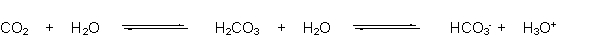 The buffering system of the blood is shown below. Which of the following equations represents the reaction that occurs when hydroxide is added to this buffer?   A)  CO<sub>2</sub> + <font face= symbol ><sup></sup></font>OH → CO<sub>3</sub><sup>2</sup><font face= symbol ><sup></sup></font> +<sub> </sub>H<sup>+</sup> B)  H<sub>2</sub>CO<sub>3</sub> + <font face= symbol ><sup></sup></font>OH → HCO<sub>3</sub><font face= symbol ><sup></sup></font> + H<sub>2</sub>O C)  HCO<sub>3</sub><font face= symbol ><sup></sup></font> + <font face= symbol ><sup></sup></font>OH → CO<sub>3</sub><sup>2</sup><font face= symbol ><sup></sup></font> + H<sub>2</sub>O D)  HCO<sub>3</sub><font face= symbol ><sup></sup></font> + <font face= symbol ><sup></sup></font>OH → CO<sub>2</sub> + H<sub>2</sub>O<sub>2</sub> E)  H<sub>3</sub>O<sup>+</sup> + <font face= symbol ><sup></sup></font>OH → 2 H<sub>2</sub>O
