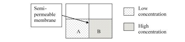 Consider solutions A and B separated by a semipermeable membrane. After osmosis occurs, A is ______ and B is ______.   A)  hypotonic; hypertonic B)  hypertonic; hypotonic C)  A and B are isotonic. D)  A and B are both hypotonic. E)  A and B are both hypertonic.
