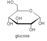 Glucose is an example of a(n)    A)  diol. B)  triol. C)  polyol. D)  ether. E)  phenol.