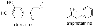 Adrenaline is responsible for the body's  fight or flight  response. Taking amphetamines results in a similar response. Which of the following statements best explains this observation?   A)  Adrenaline and amphetamine are both metabolized in the same way because they have similar structures. B)  Adrenaline and amphetamine both bind to the same receptor because they have similar structures. C)  Amphetamine replaces adrenaline in important biosynthetic pathways. D)  There are two different pathways for the  fight or flight  response. Adrenaline activates one and amphetamine activates the other. E)  No one understands why this occurs.