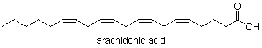 What type of biomolecule is shown below?   A)  a fatty acid B)  a nucleic acid C)  an amino acid D)  a sugar E)  This is not a biomolecule.
