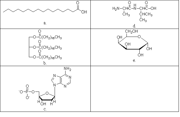 Which of the following biomolecules contains three ester functional groups?   A) a B) b C) c D) d E) e