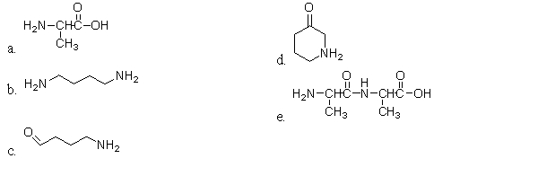 Which of the following molecules contain an amide?   A) a B) b C) c D) d E) e