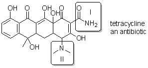 Tetracycline is a common antibiotic. Select the choice in which the two boxed functional groups are correctly identified.   A)  I: amine II: amine B)  I: amide II: amide C)  I: amine II: amide D)  I: amide II: amine E)  These functional groups are neither amines nor amides.