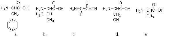 Which of the amino acids does not contain a center of chirality?   A) a B) b C) c D) d E) e