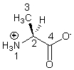 Which of the boxed atoms is a center of chirality?   A)  1 B)  2 C)  3 D)  4 E)  5