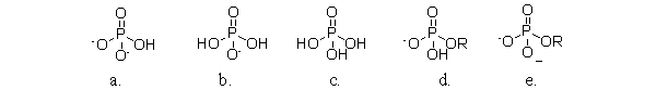 Which of the following structures is monohydrogen phosphate?   A) a B) b C) c D) d E) e