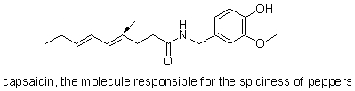 What is the molecular shape around the carbon indicated with an arrow?   A)  linear B)  trigonal pyramidal C)  tetrahedral D)  bent E)  trigonal planar